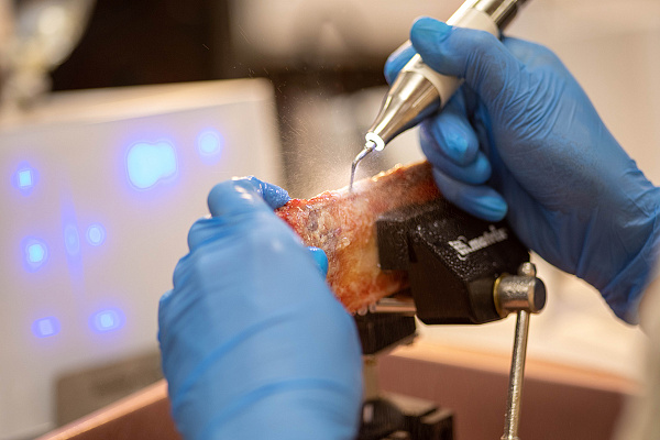345A4671.jpg